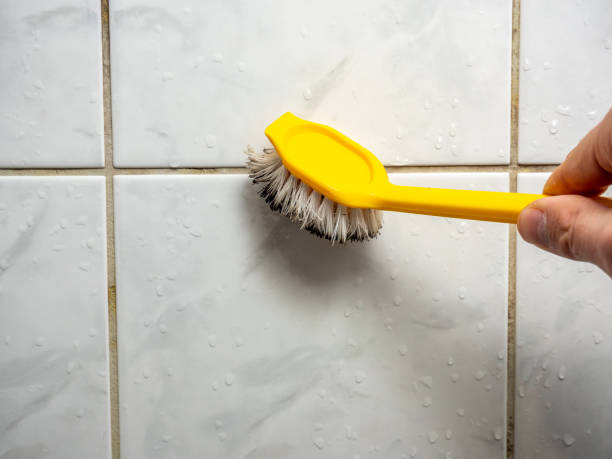 Best Mold Cleaning Services  in Crete, NE