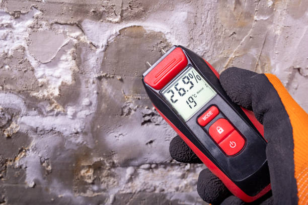 Mold Removal Process in Crete, NE