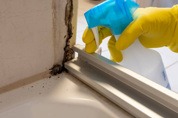 Crawl Space Mold Removal in Crete, NE