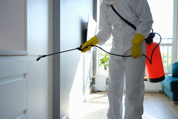 Best Attic Mold Removal  in Crete, NE
