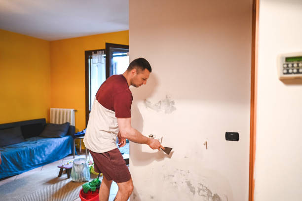 Best Office Mold Removal Services  in Crete, NE